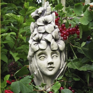 Zauberblume Blumenkind Gladiole