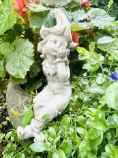 Zauberblume Kantensitzer Stechapfel