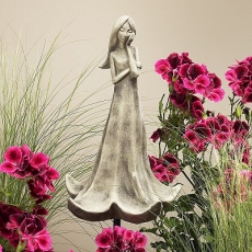 Zauberblume Blütentänzerin Stechapfel